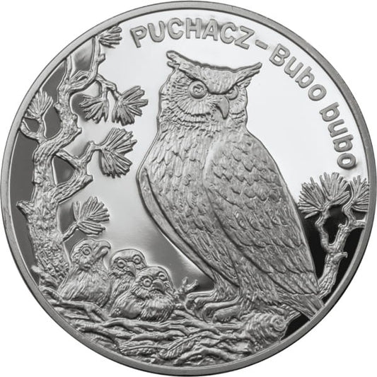 20 zł Puchacz (łac. Bubo bubo) 2005