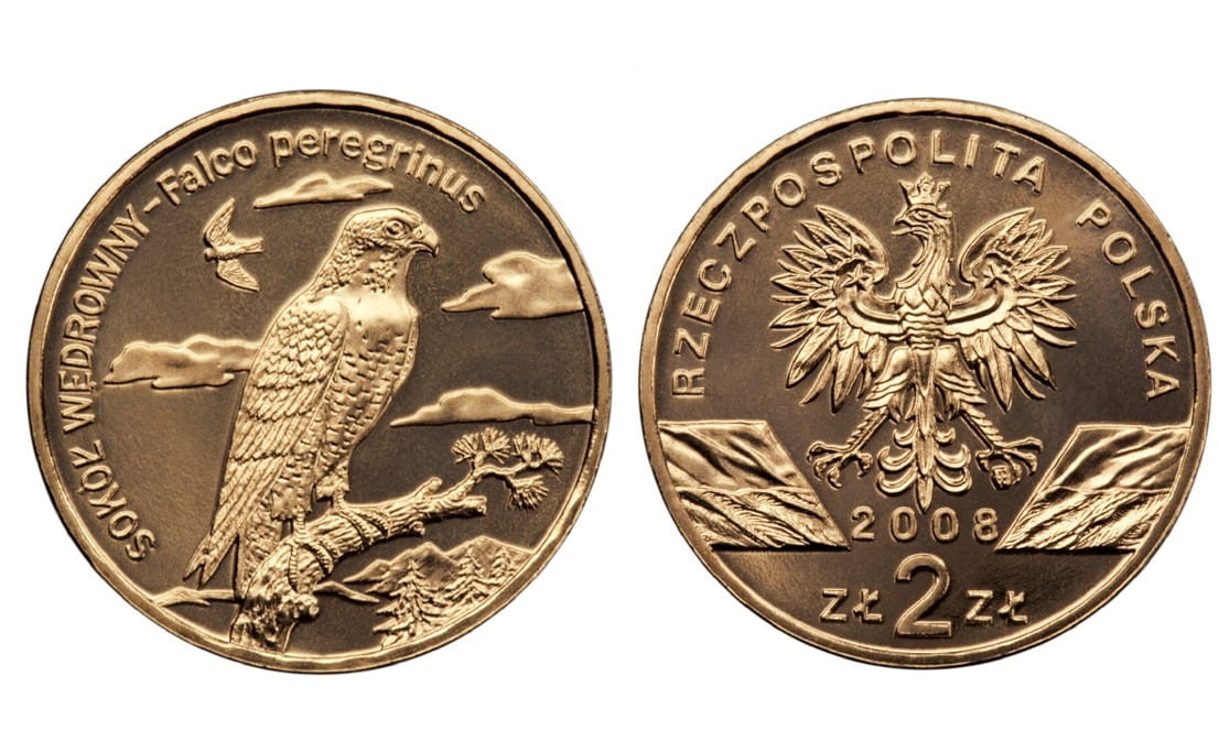2 zł Sokół wędrowny 2008