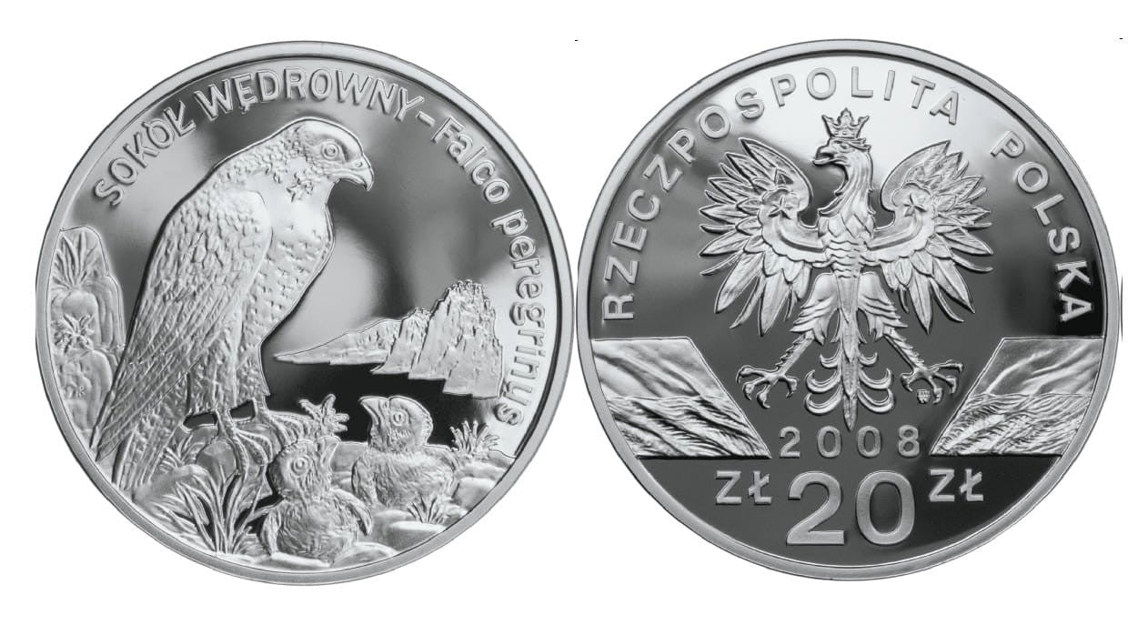 20 zł Sokół wędrowny (łac. Falco peregrinus) 2008