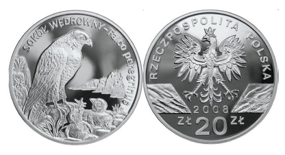 20 zł Sokół wędrowny (łac. Falco peregrinus) 2008