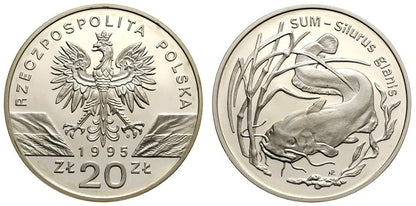 20 zł Sum (łac. Silurus glanis) 1995
