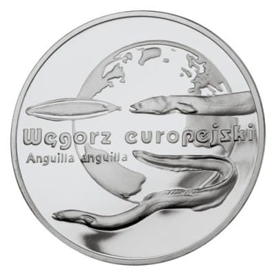 20 zł Węgorz europejski (łac. Anguilla anguilla) 2003
